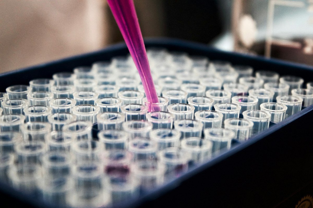 How to Collect and Submit a Water Sample